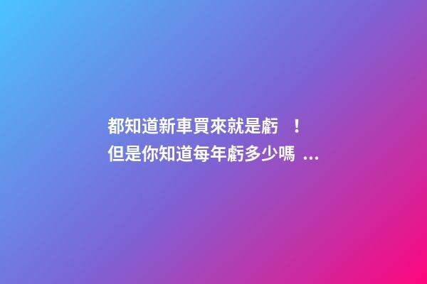 都知道新車買來就是虧！但是你知道每年虧多少嗎？